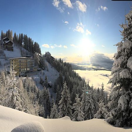 Sonnenhotel Zaubek เทรฟเฟน ภายนอก รูปภาพ